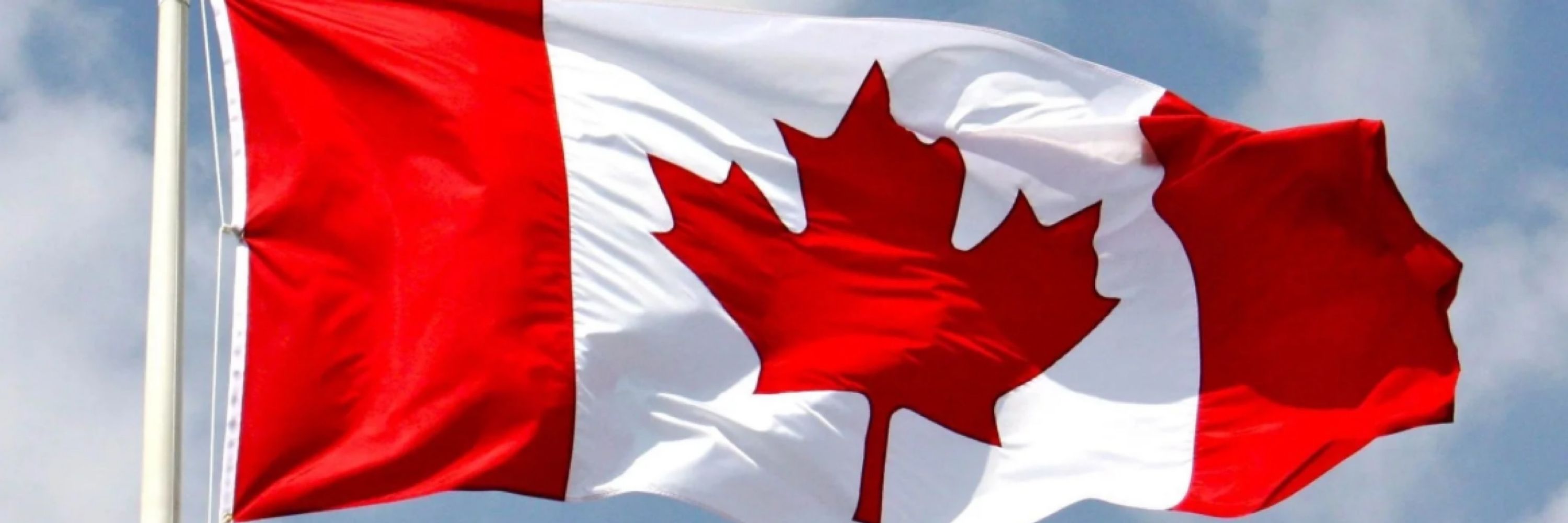 Canuckaf🇨🇦