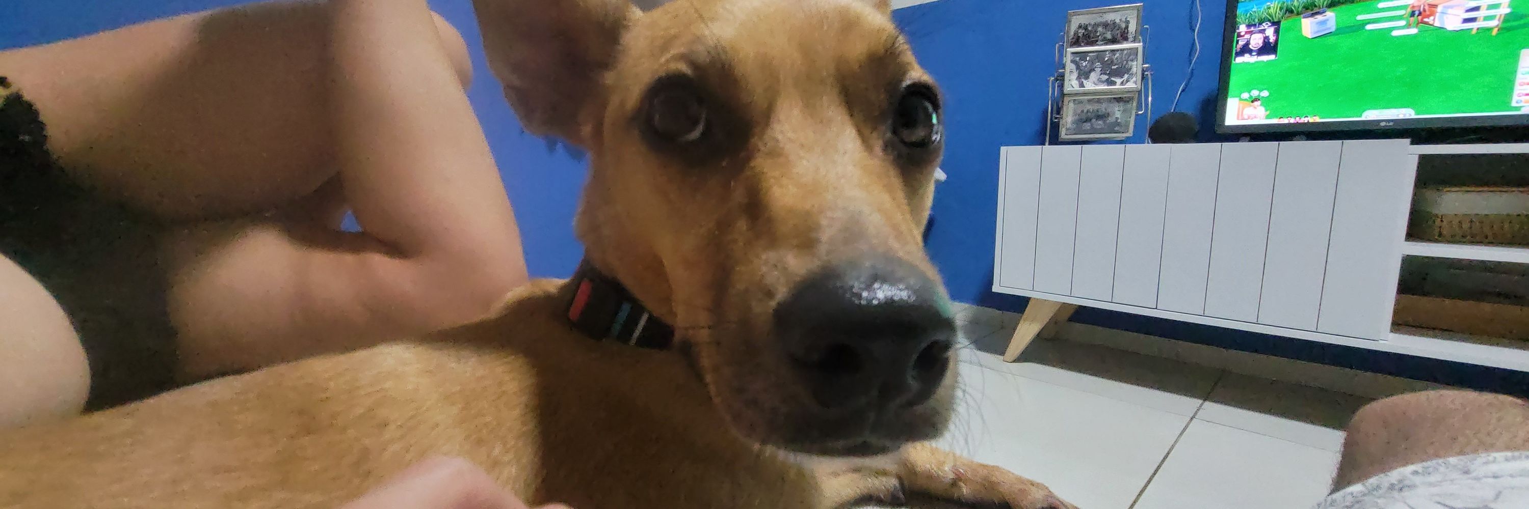 Mateuzinho