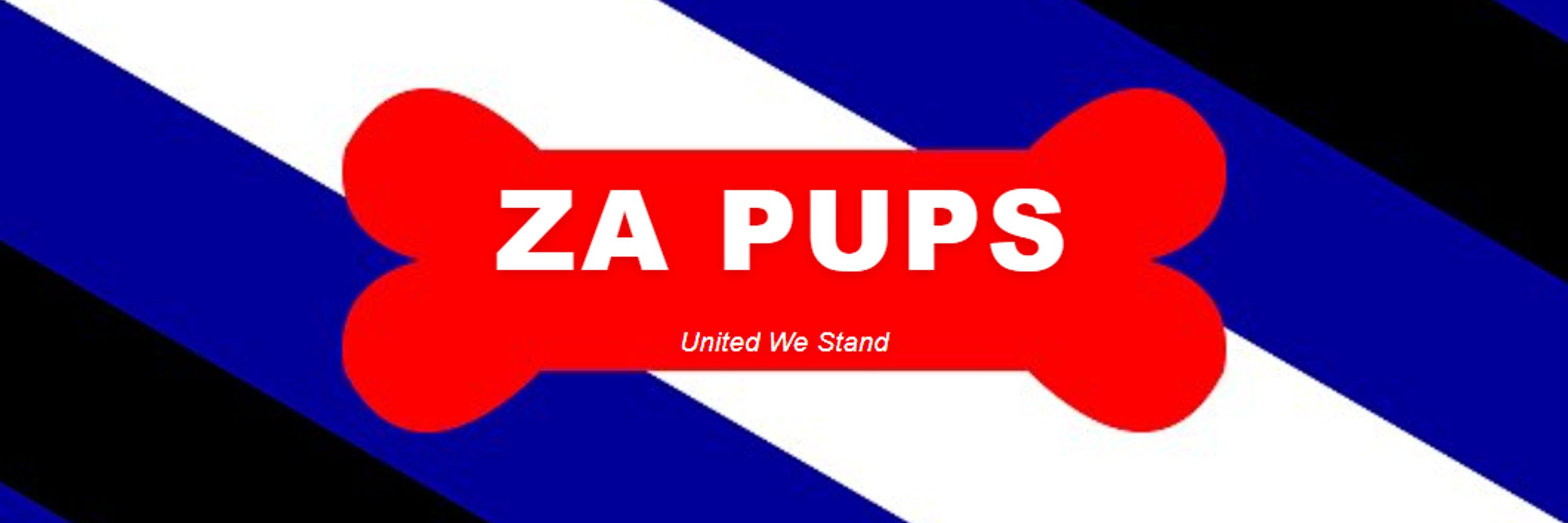 South African Pups
