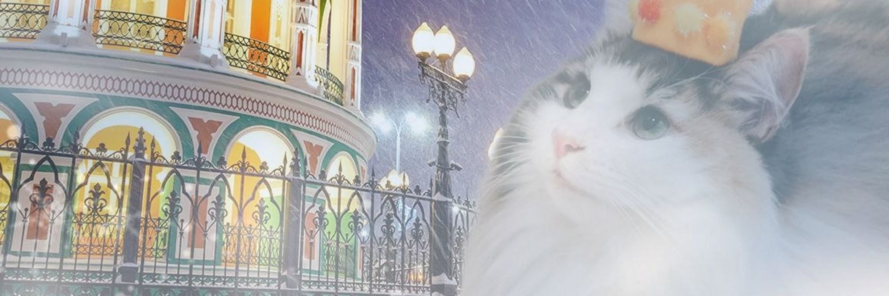 ✨🌌Драконья Звёздочка