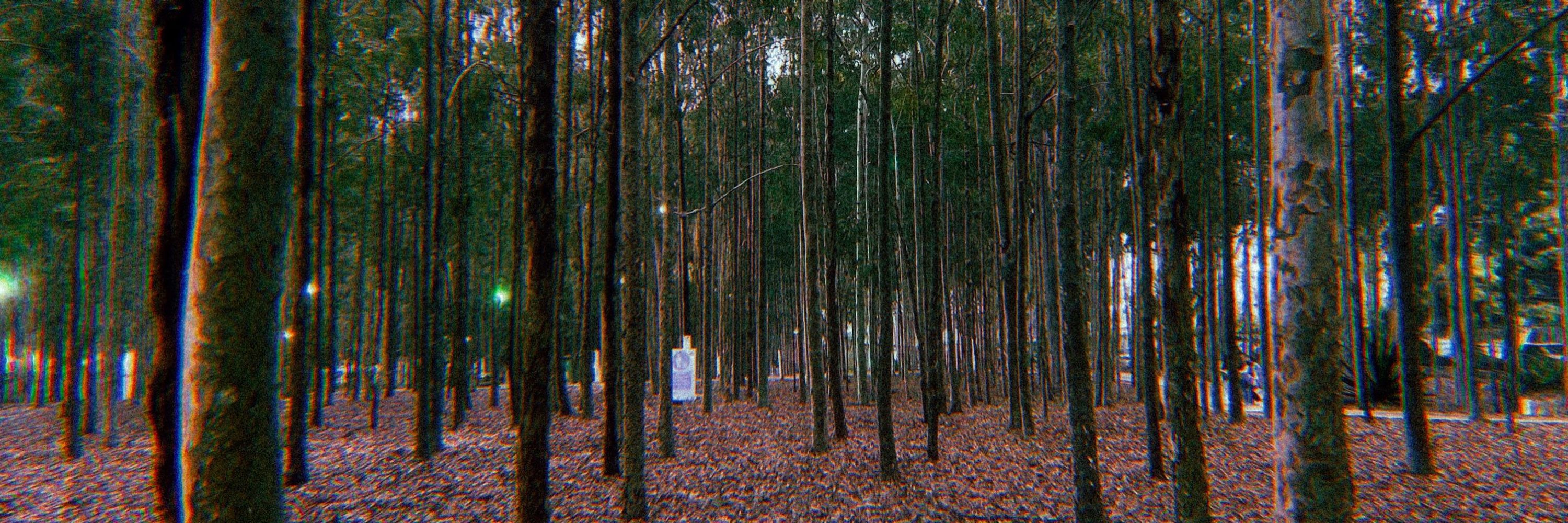 mafê