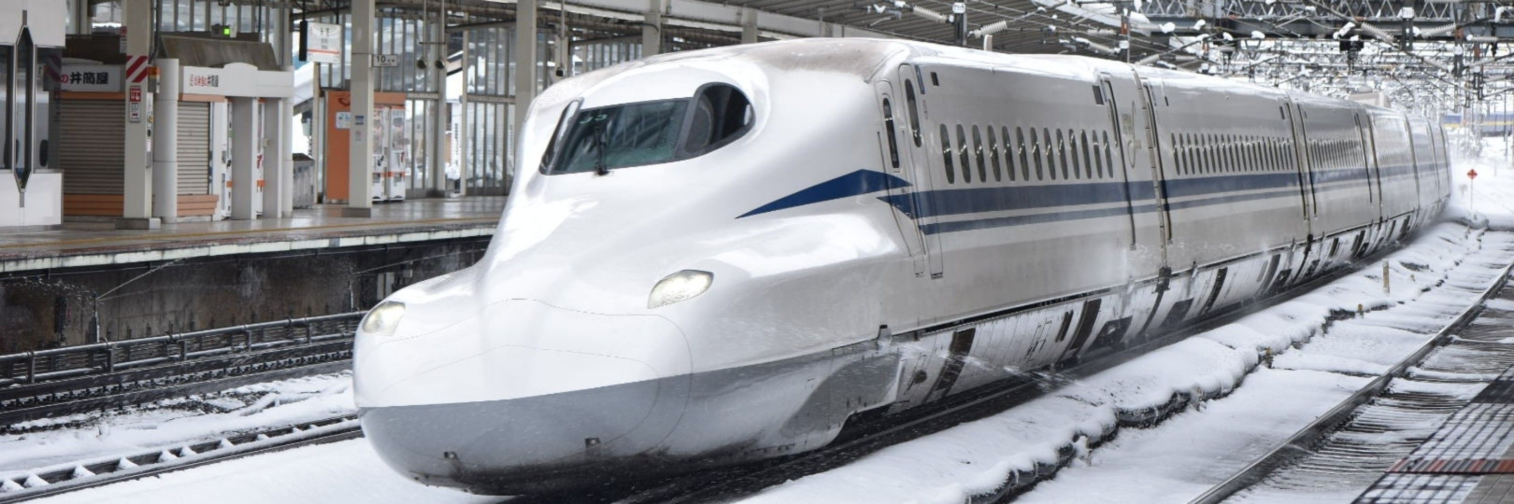 きむぽてと🚄🐱