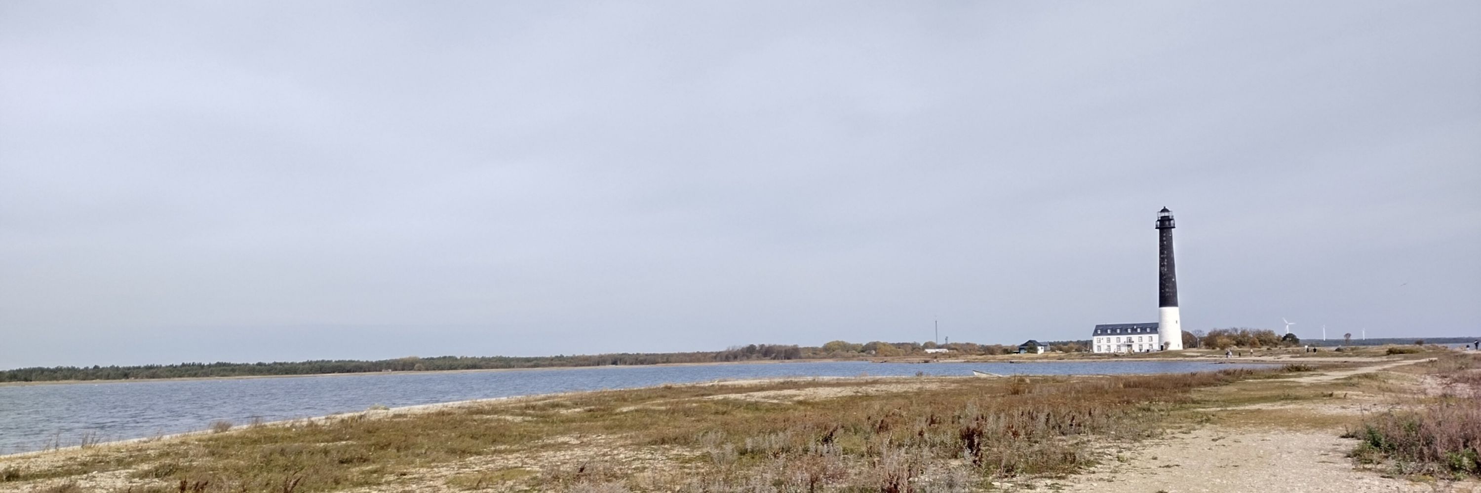 Edina Török
