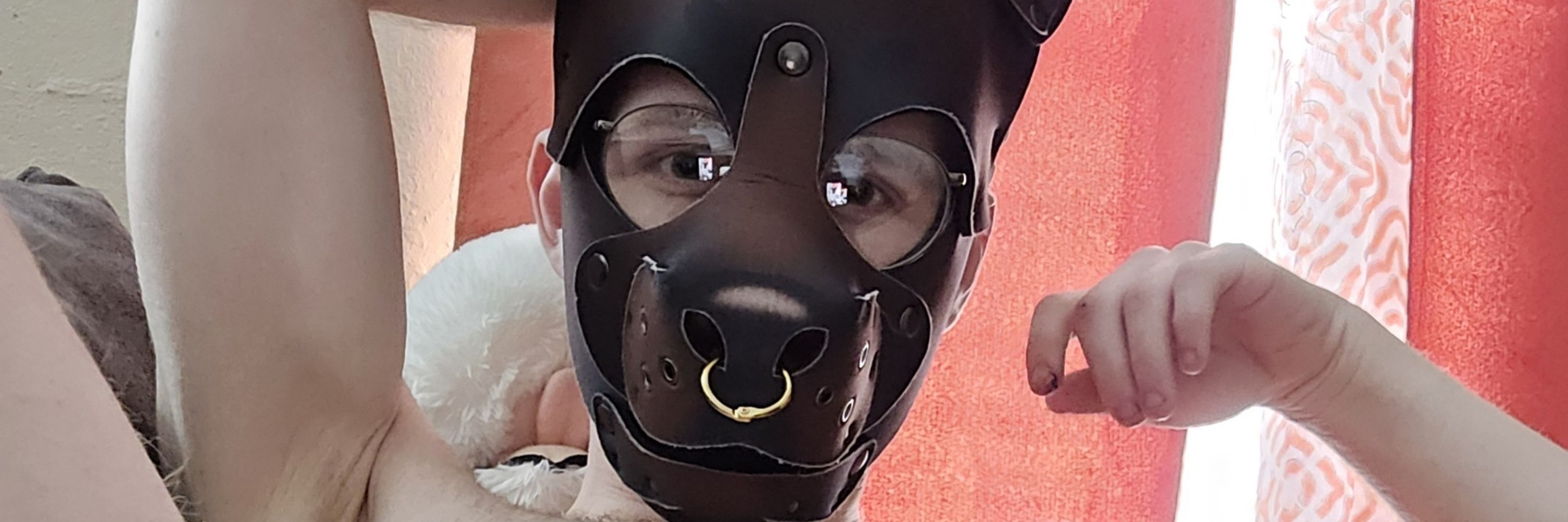 Pup Dex