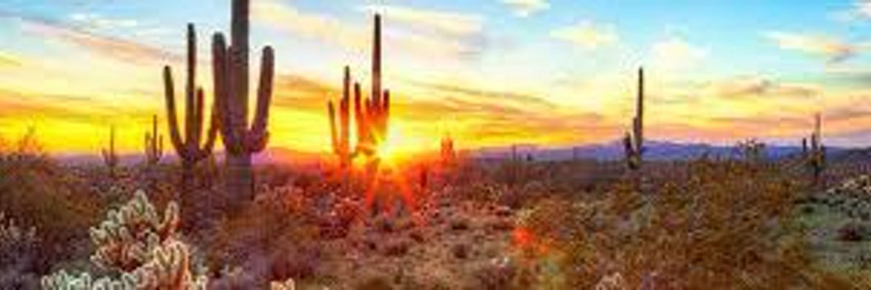 Maree Sanchez 🌵🌞🌻🐈‍⬛