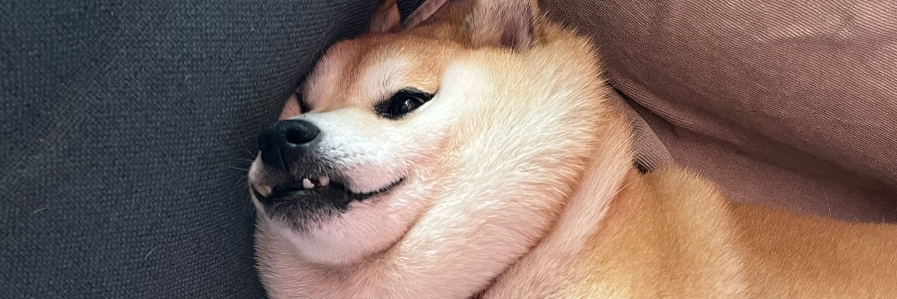 tt