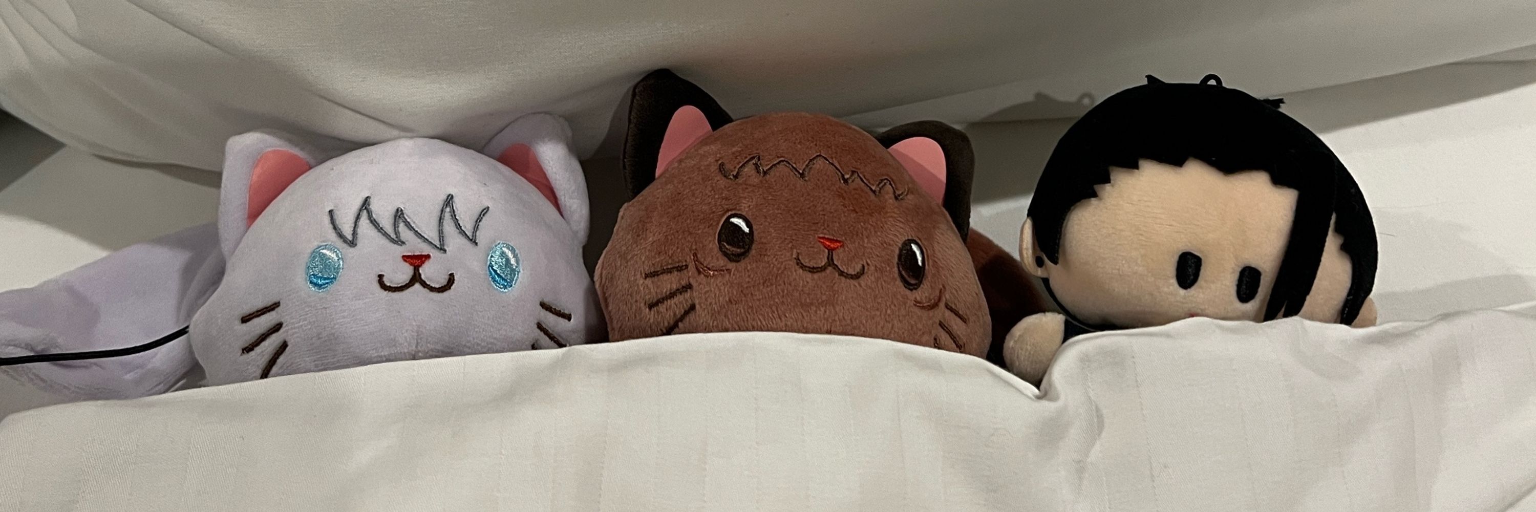 なつみん