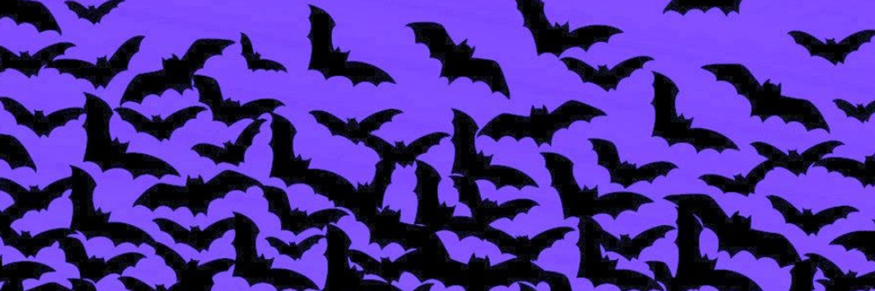 Yintero 🦇