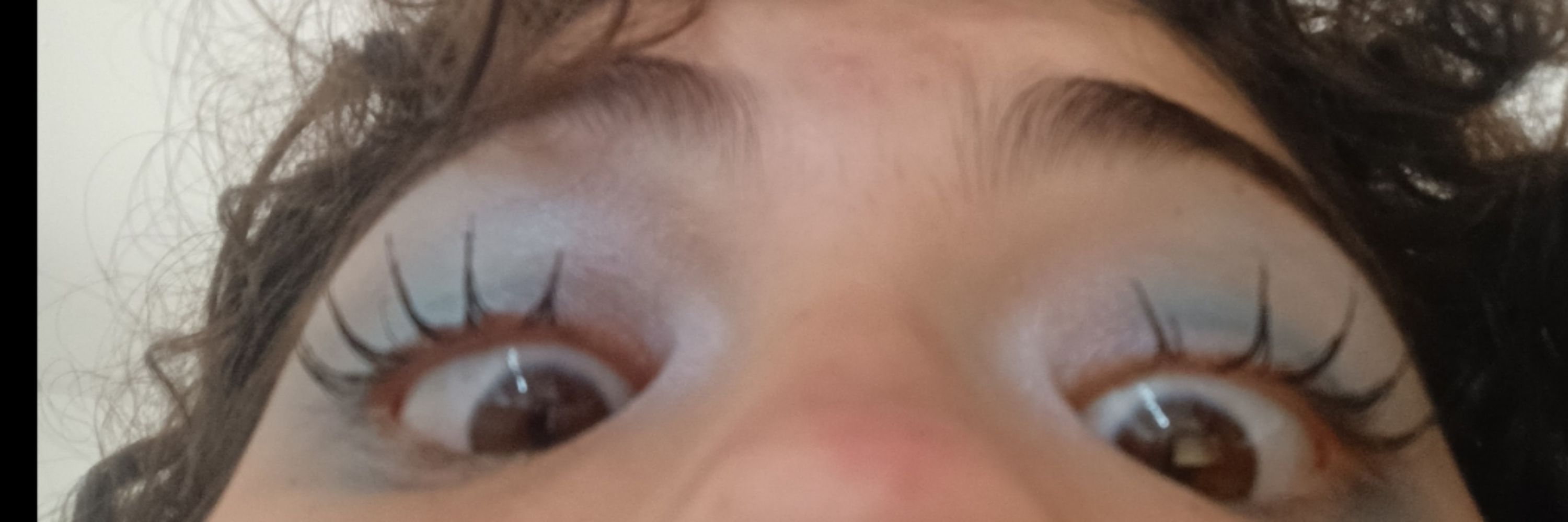 Lis