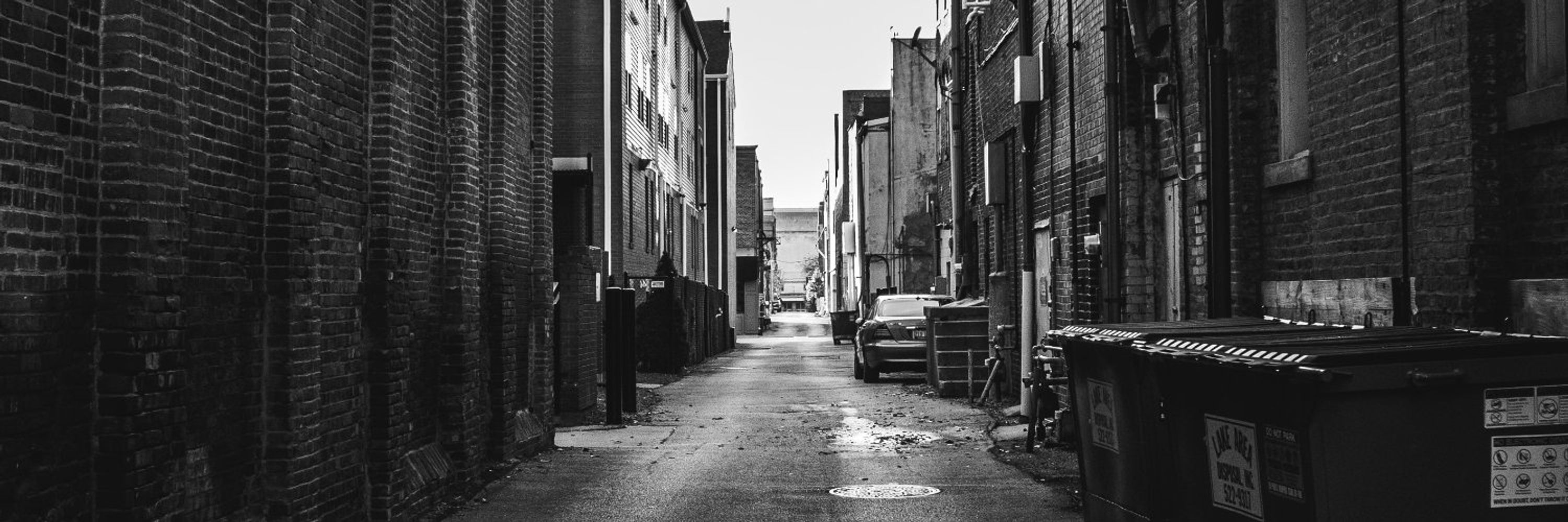 Perspectives Printanières