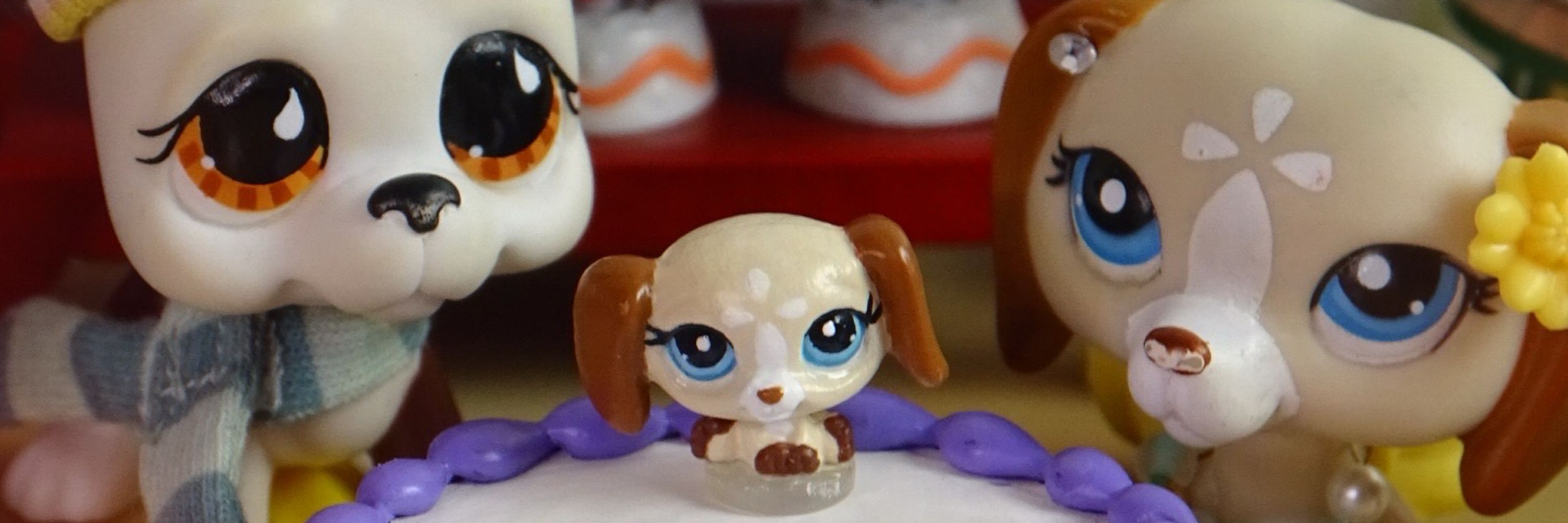 Daisy (puppylover863)