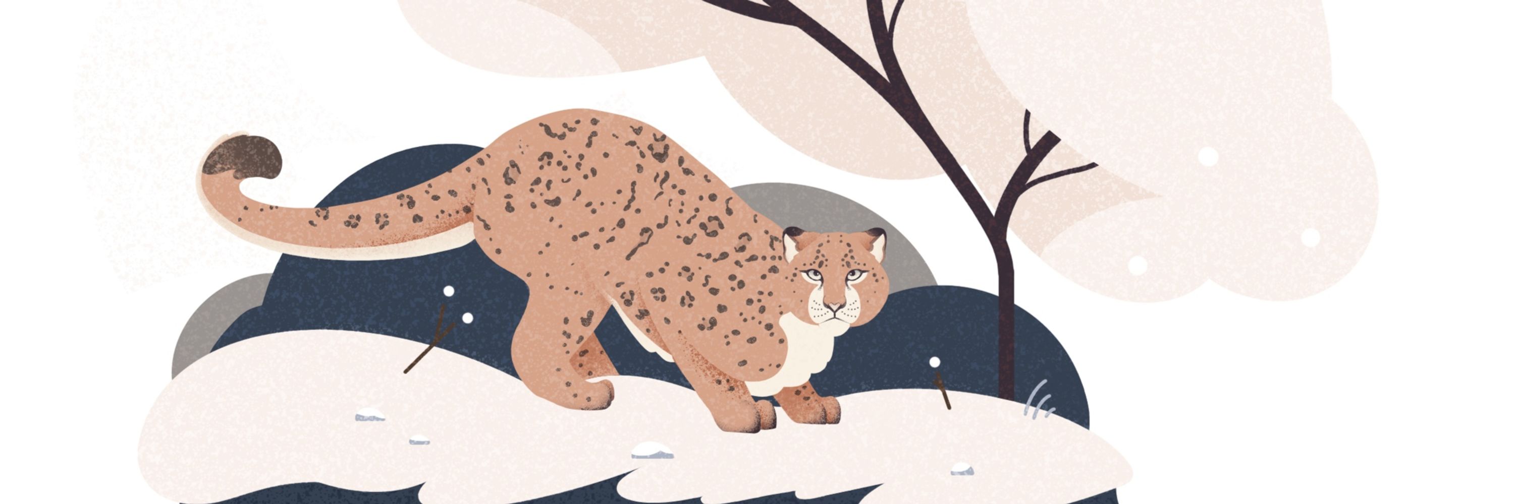 Diana Bolton | Illustrator