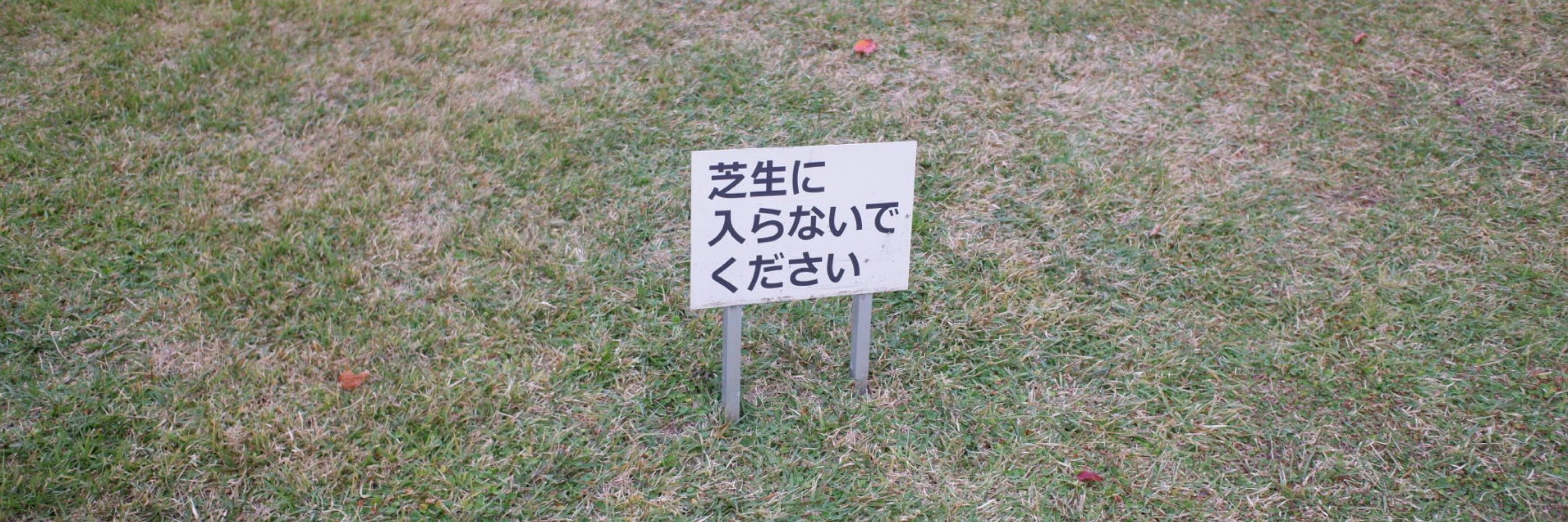 コテツ