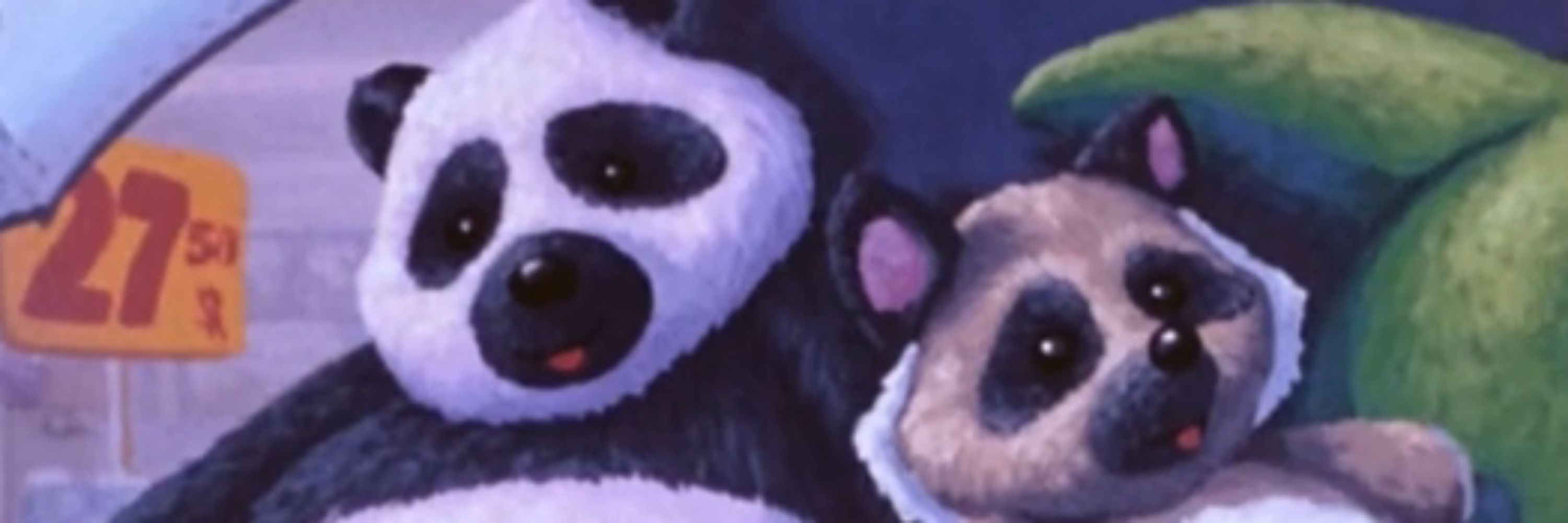 Coopyboopy 🦝