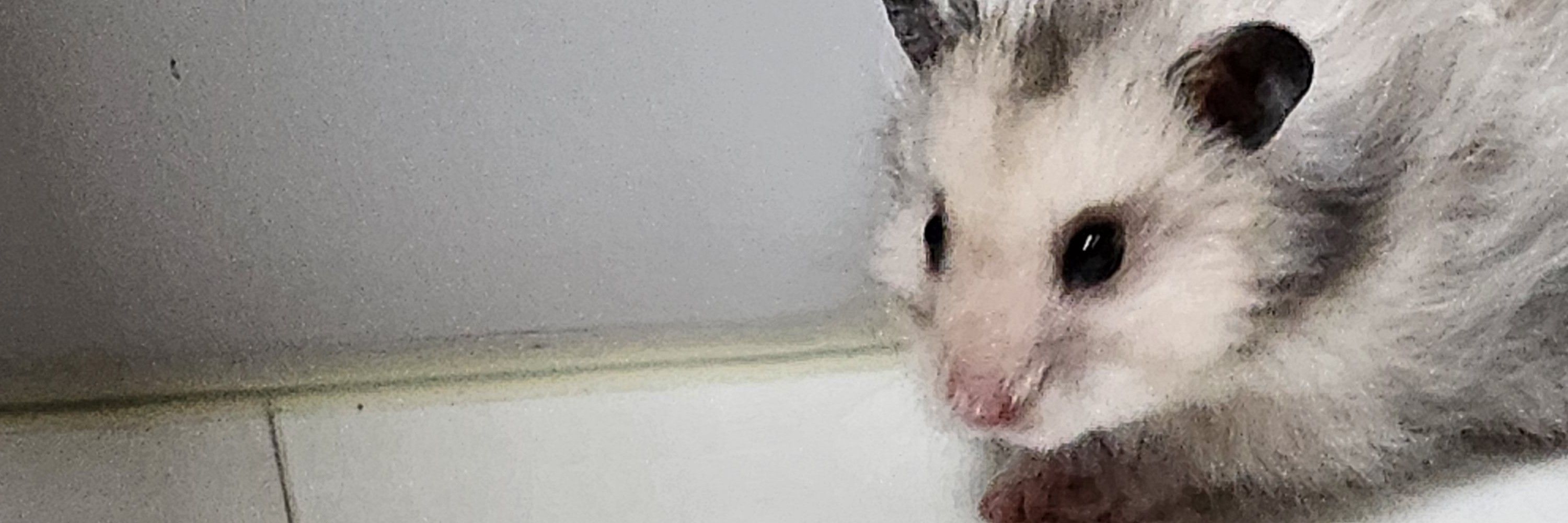 초♡