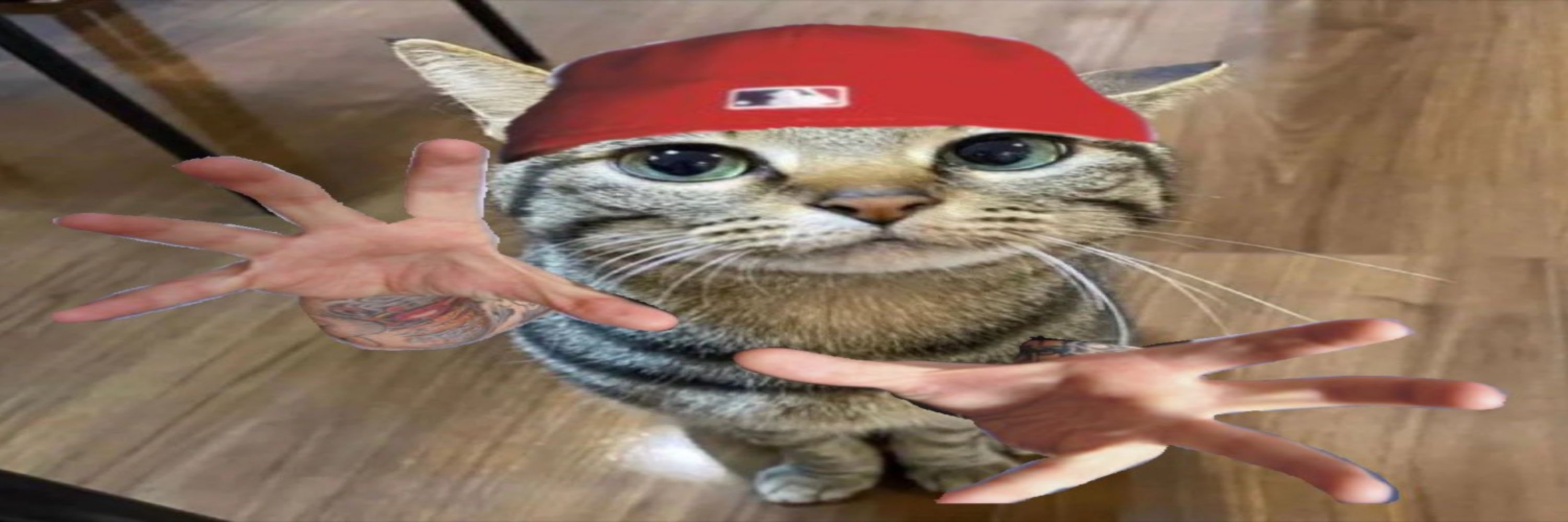 Taffy still suck