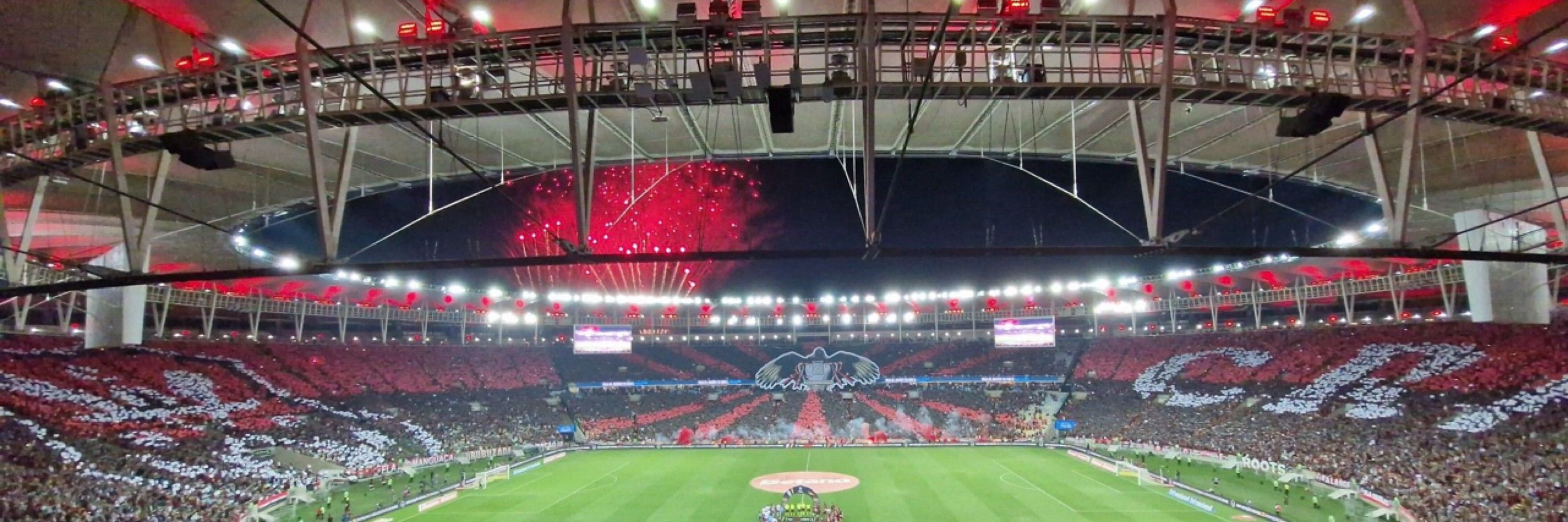 CissaMorena