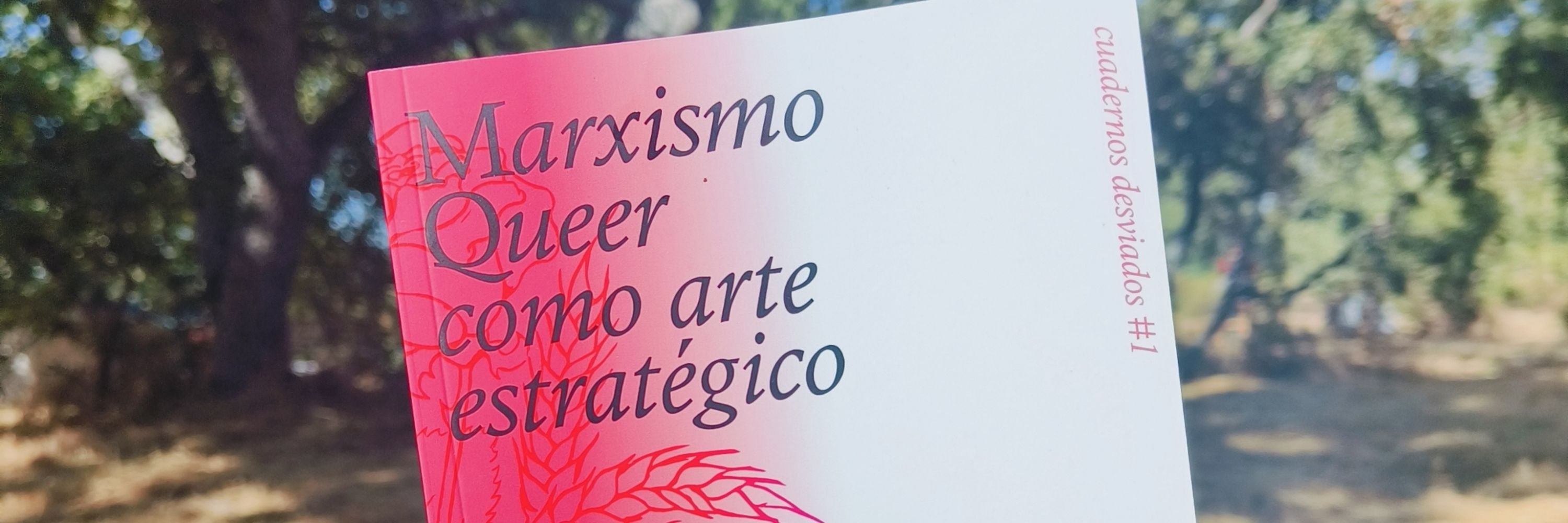 Anticapitalistas LGBTIQA+