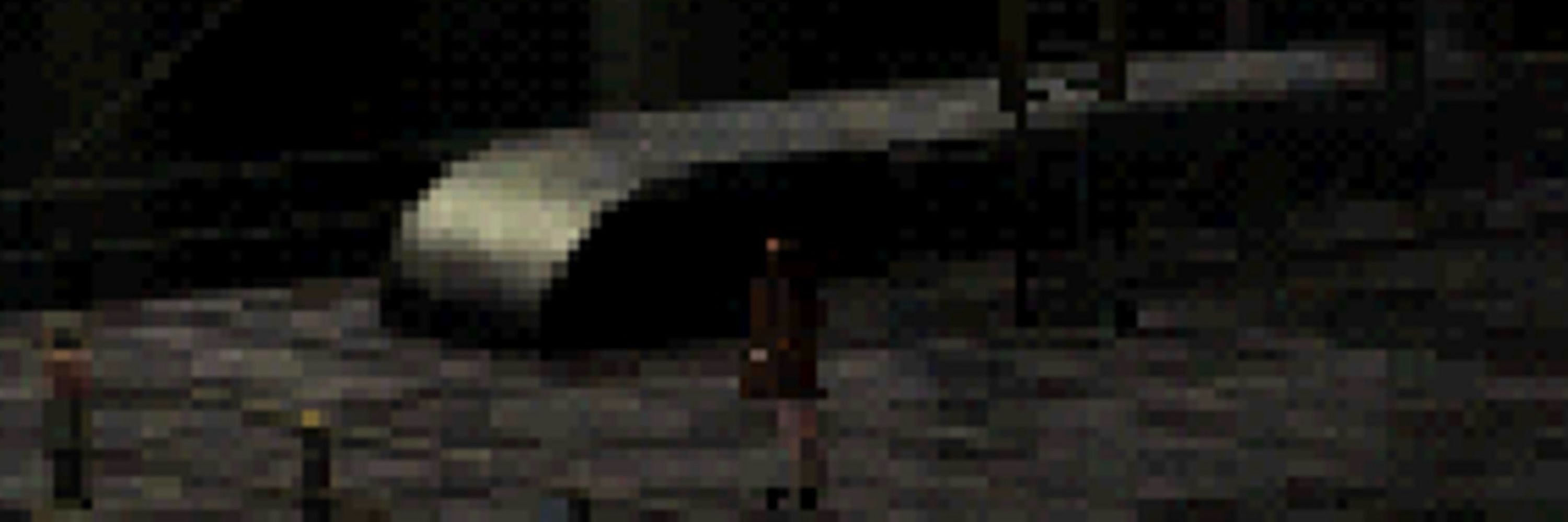 shadowmoss