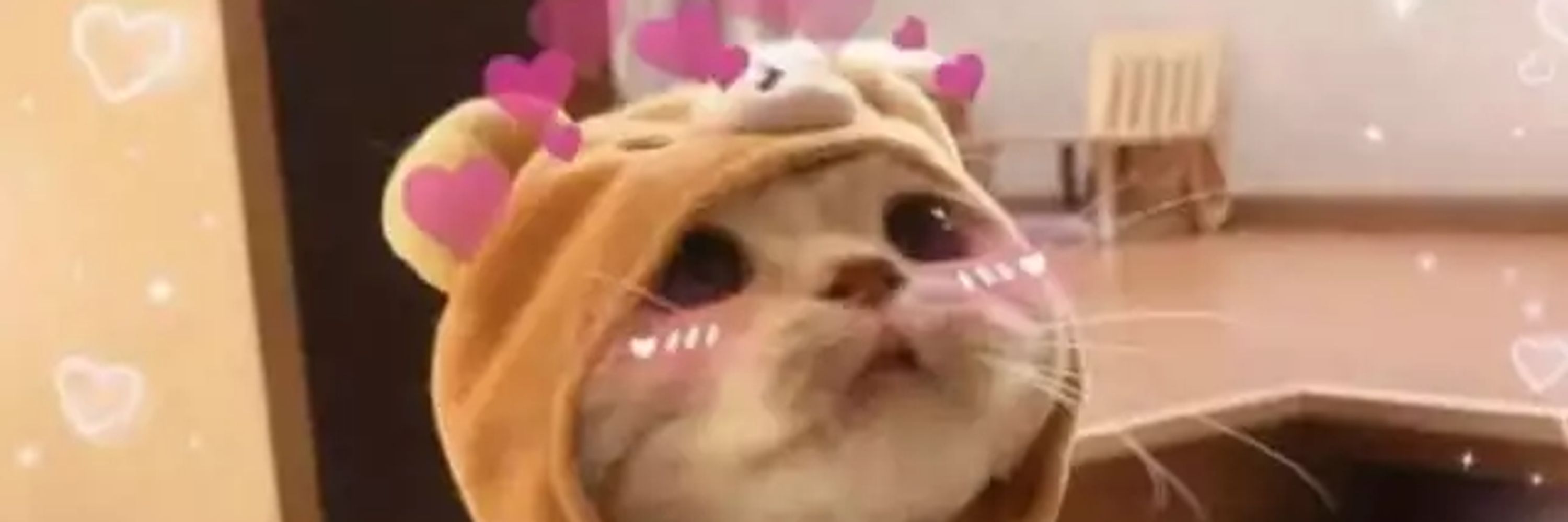 FY