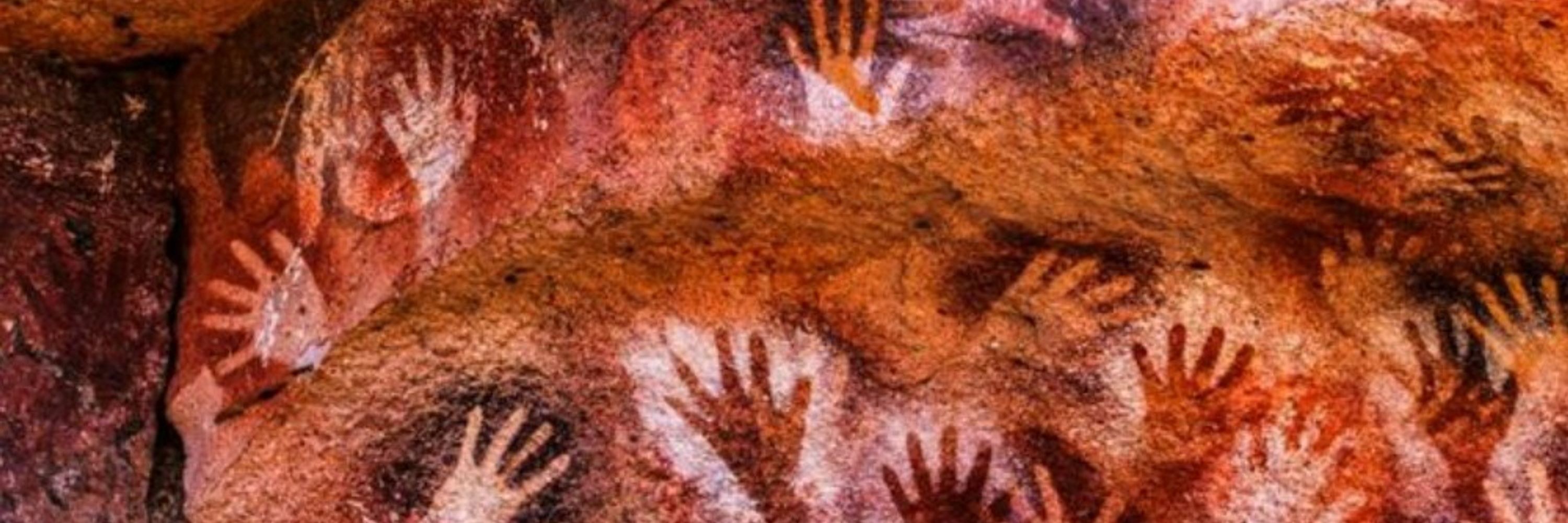 Cultural Evolution - Transformation Fund
