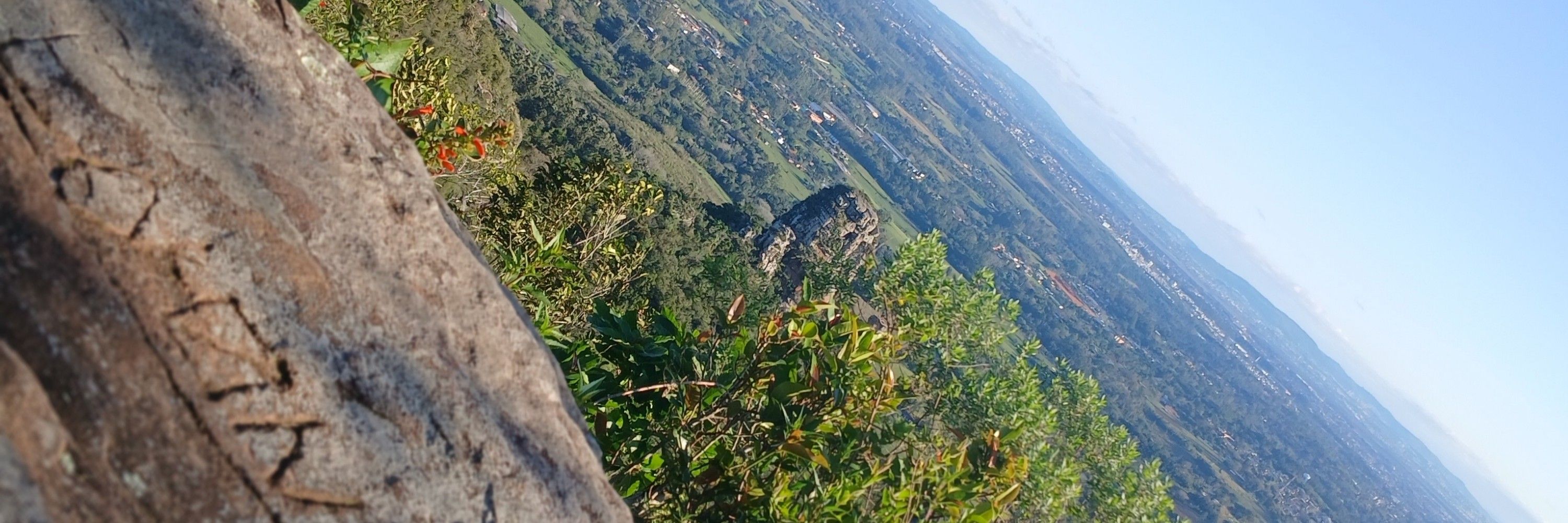 Mzk_dg