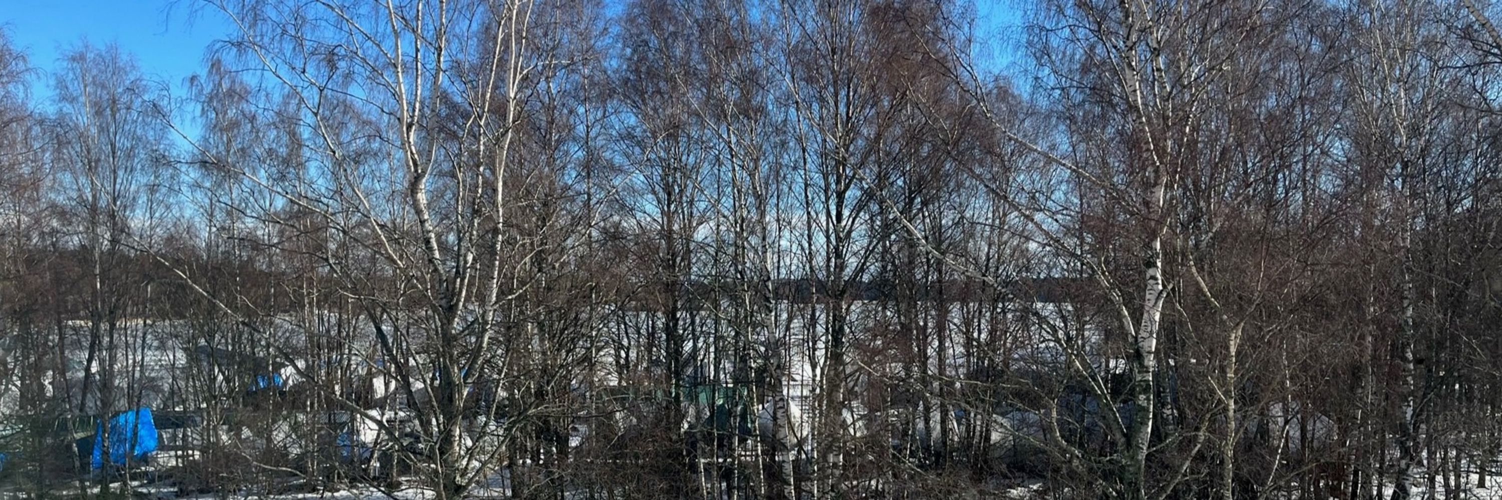 Ismo Kainulainen 