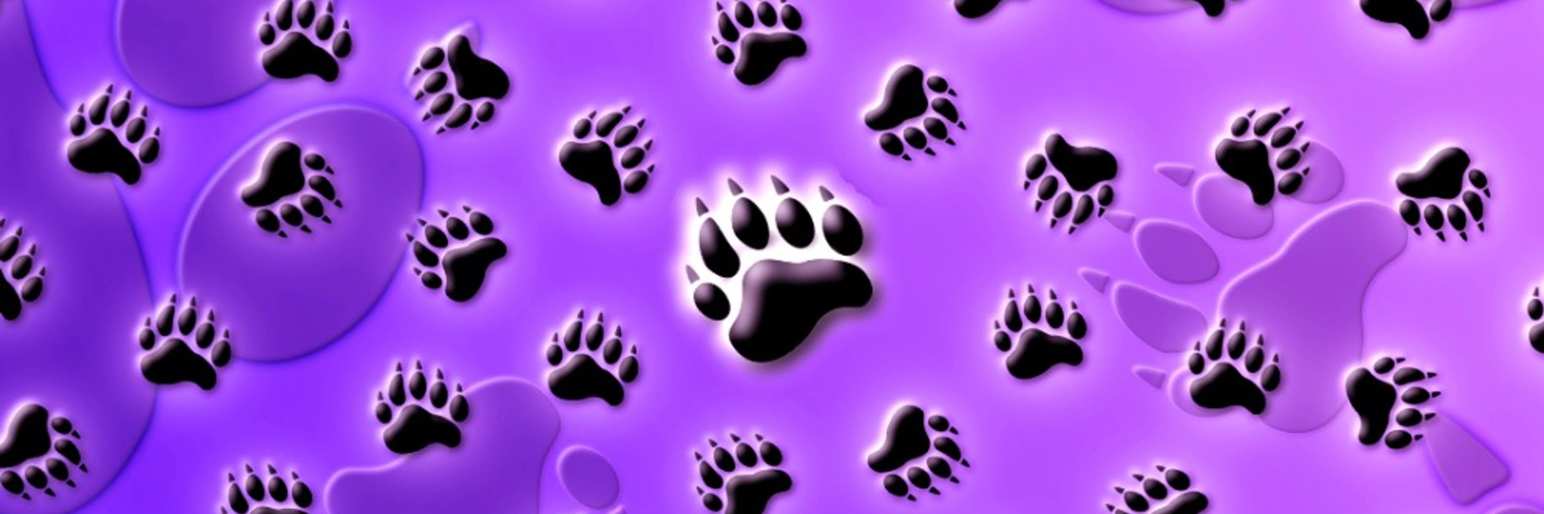 Dominath