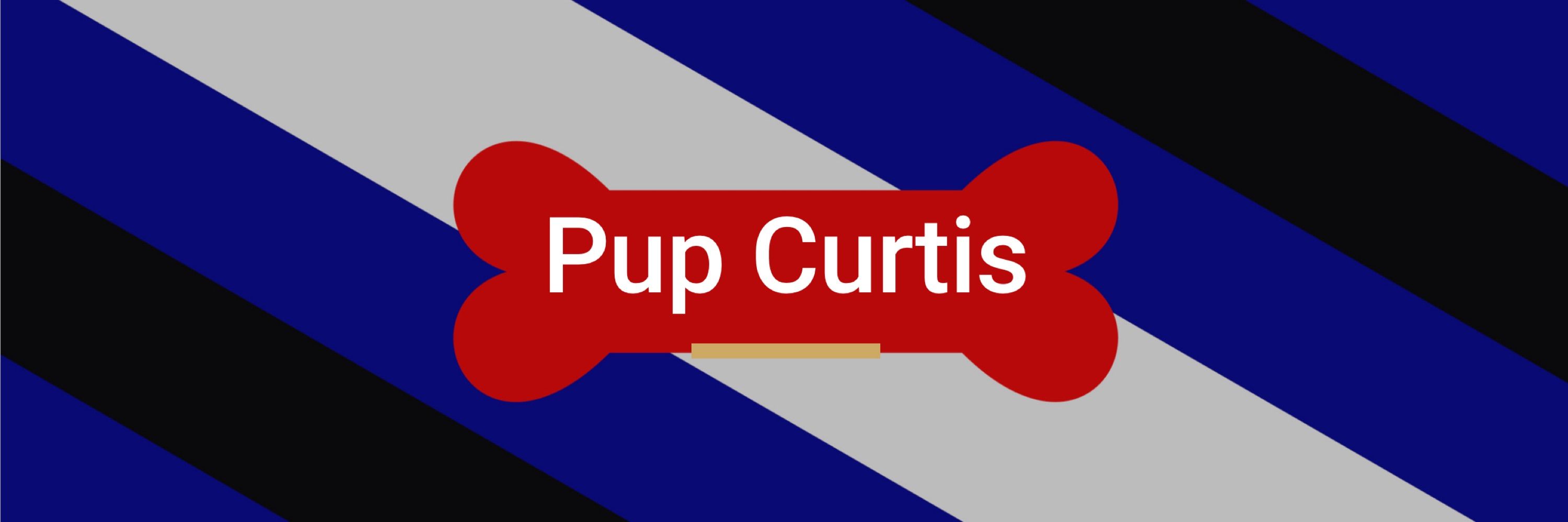 Pup Curtis