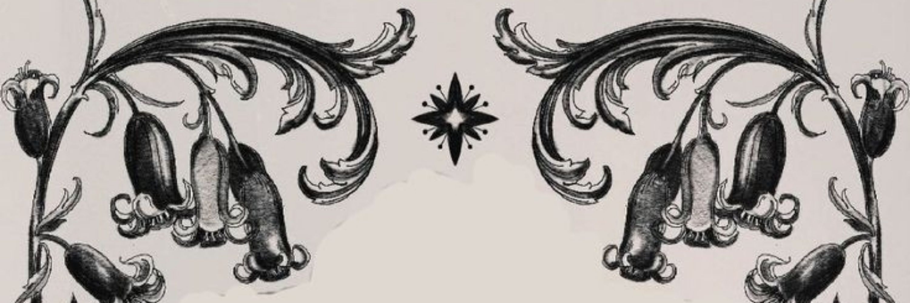 ✷ hiacynt ✷