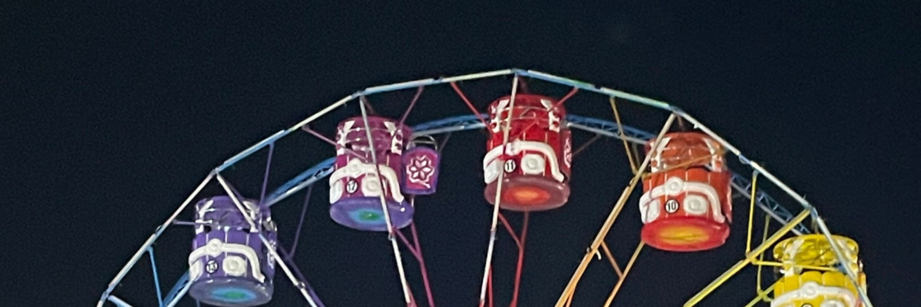 🐻