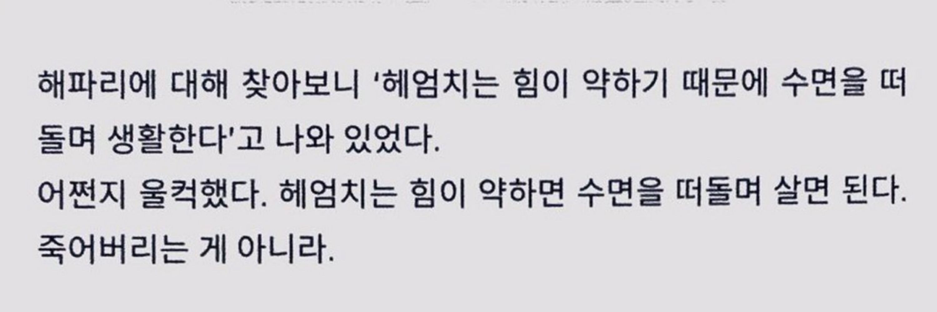 해파리
