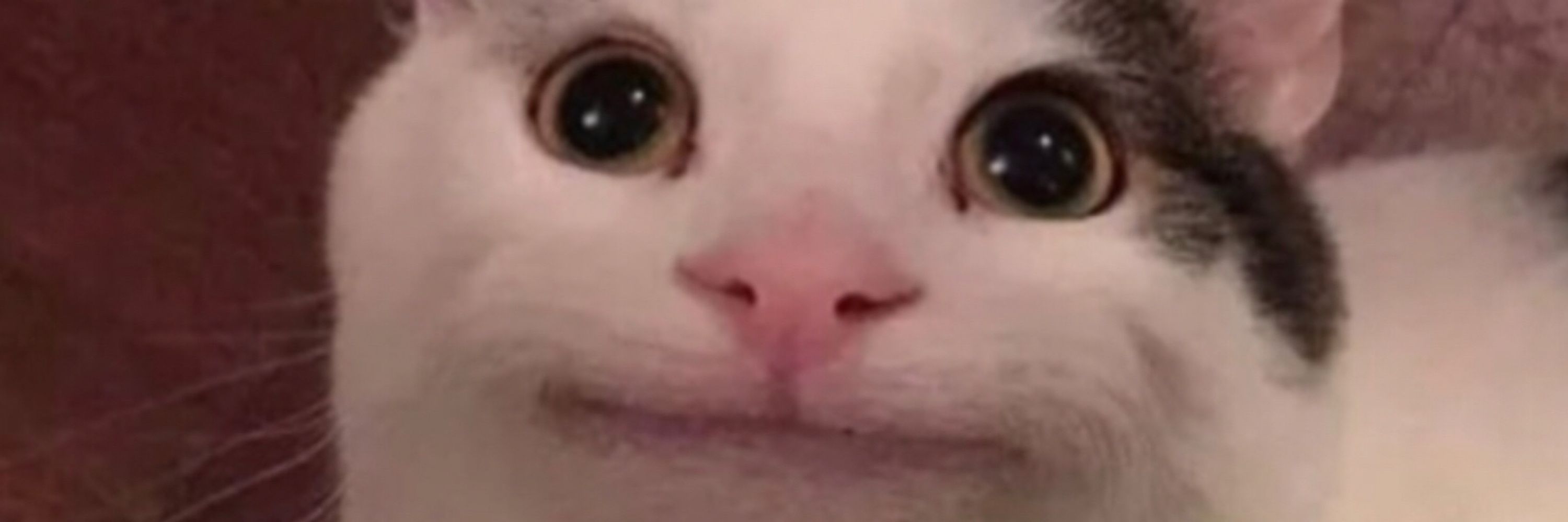 Drbrosuper3000