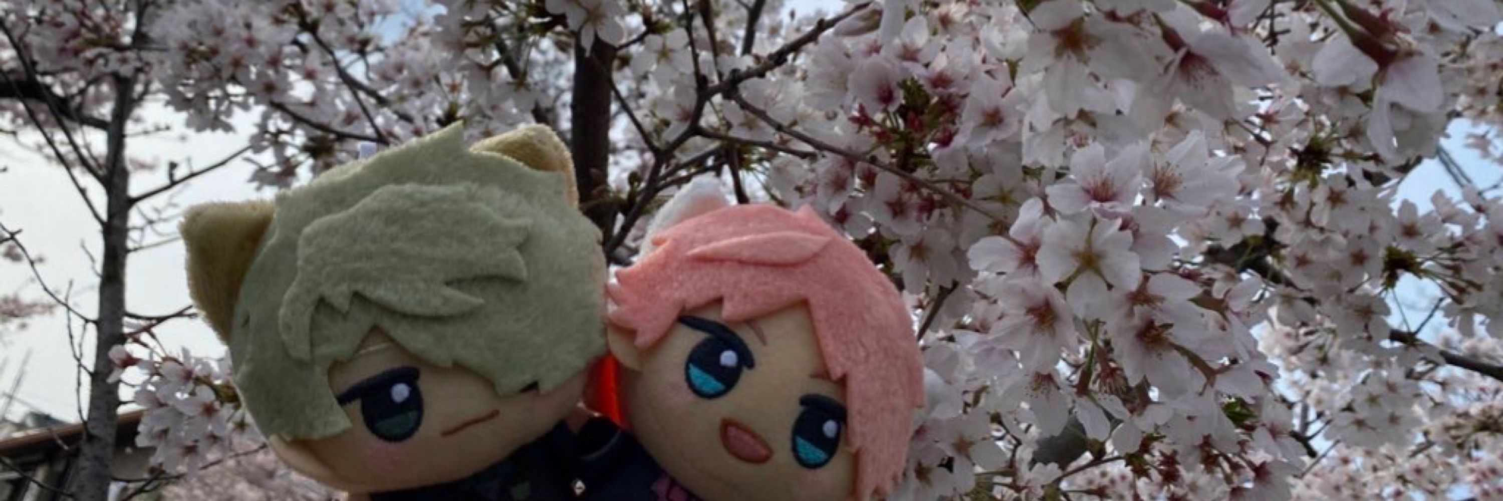 葉船 桜花