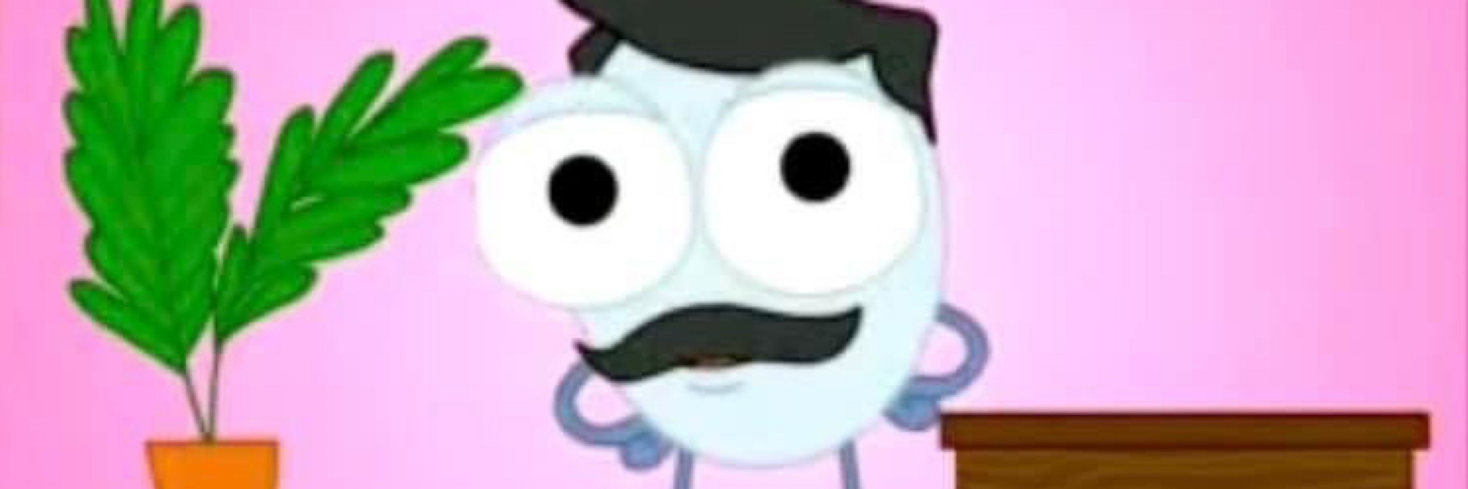 @pants