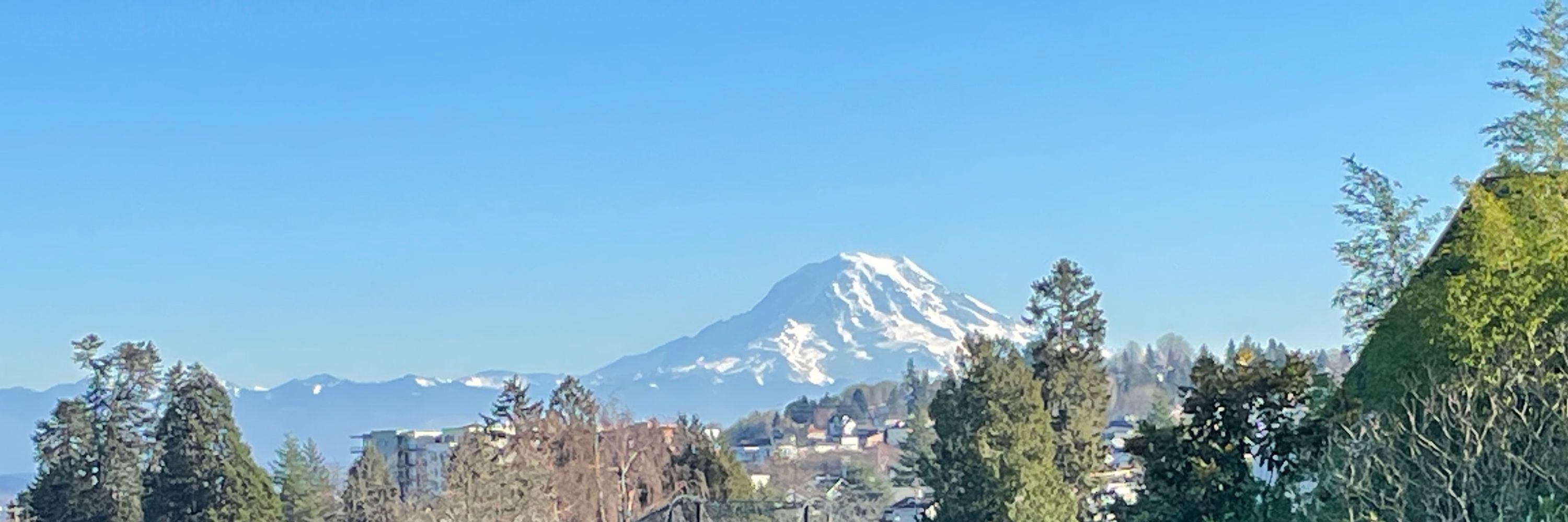 PNW Cubana