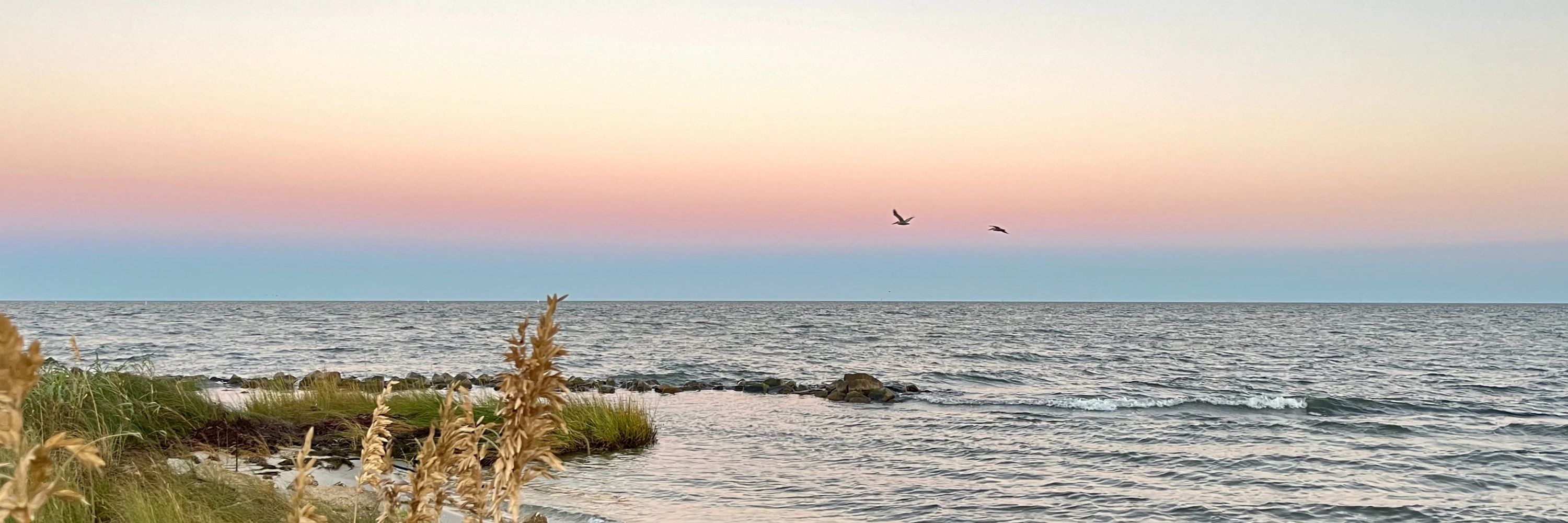 Dawn