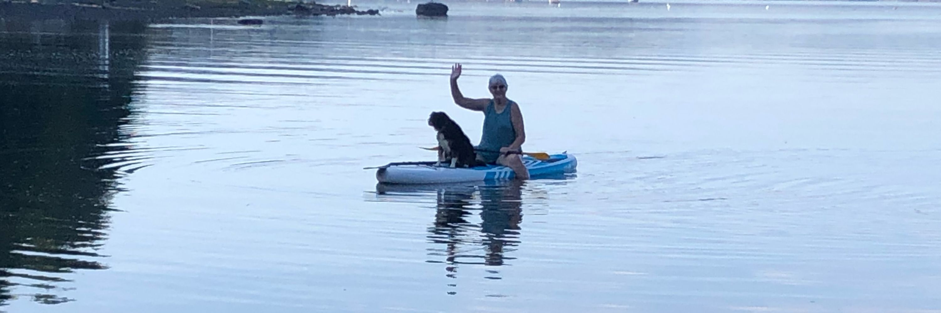 Sharon in Tuxedoville 🇨🇦