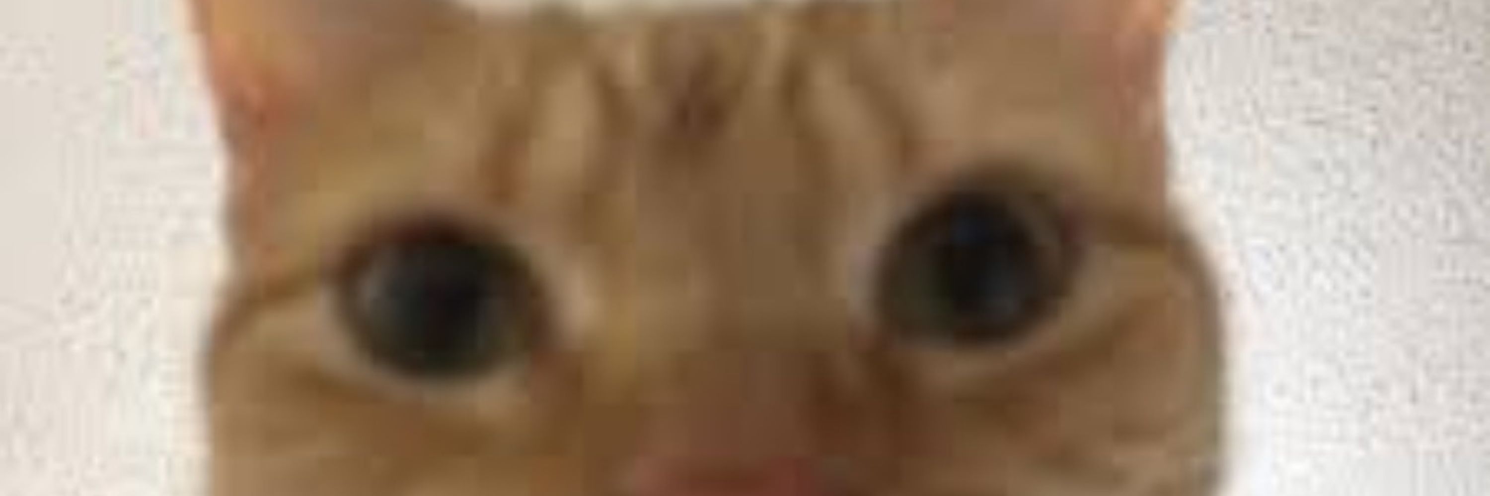 Phil