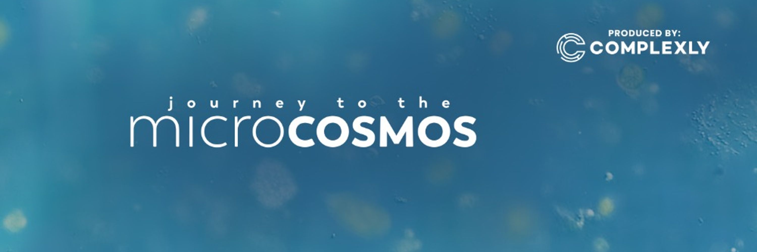Journey to the Microcosmos