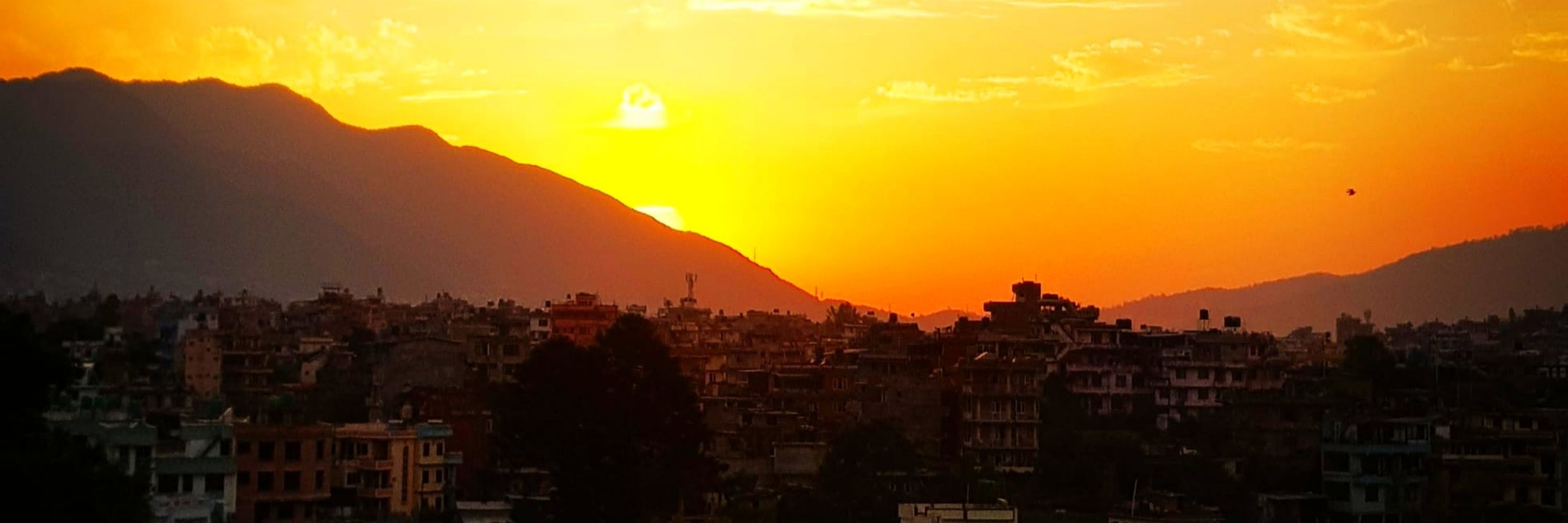 Bikram Tiwari