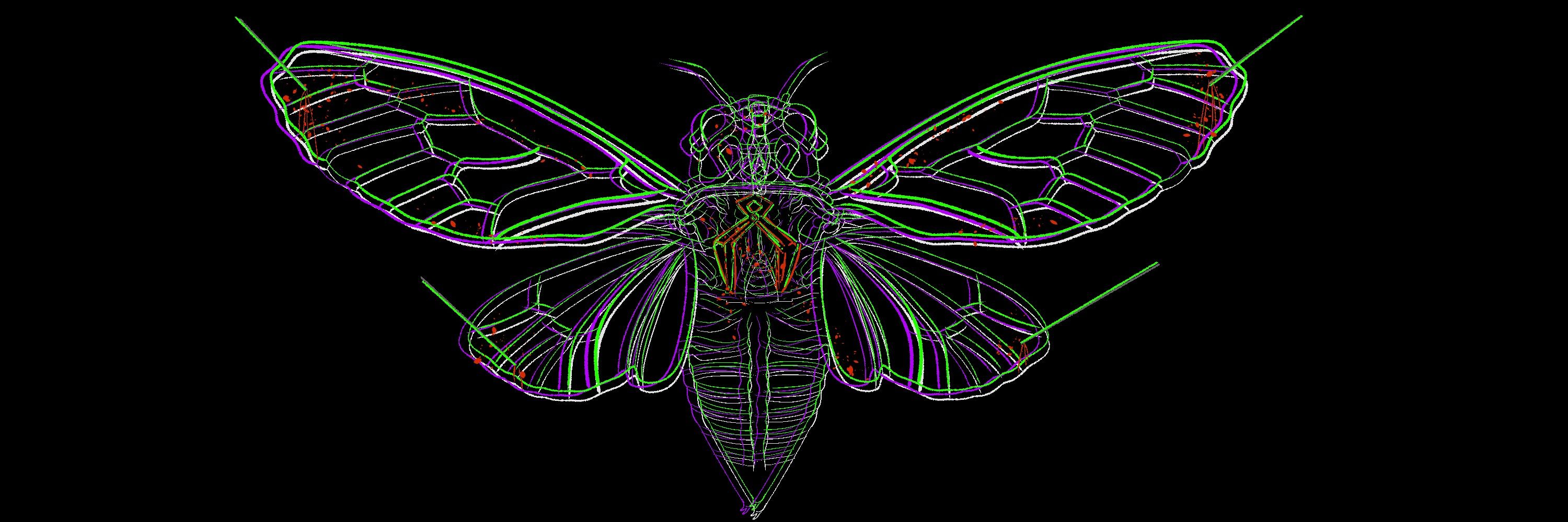 Ecdycis