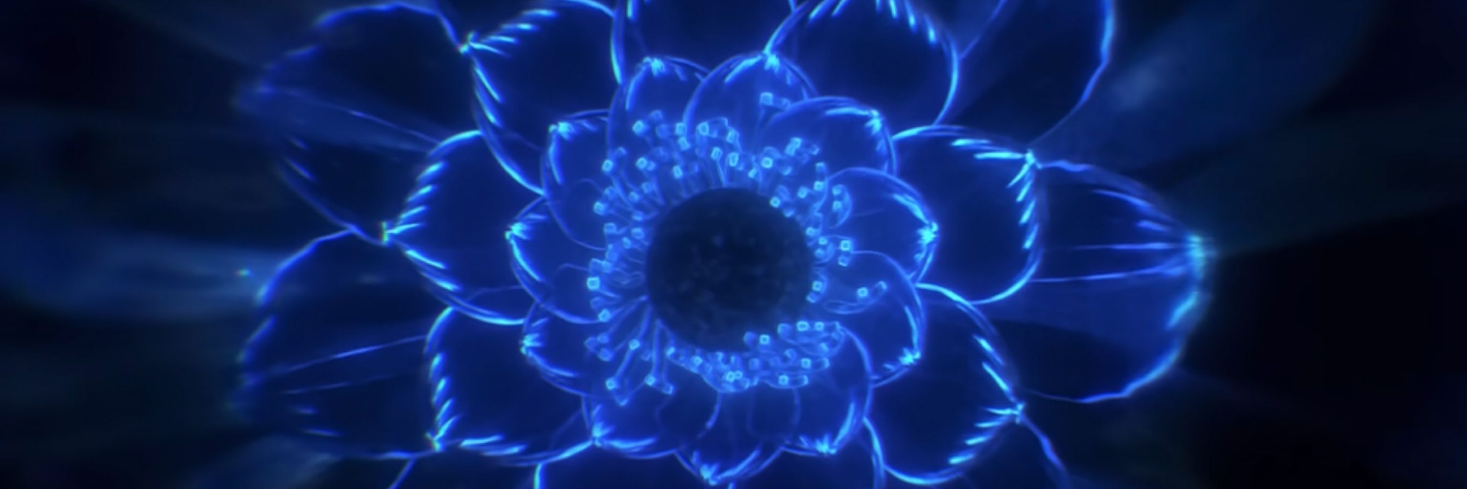 皇さや Sumeragi Saya