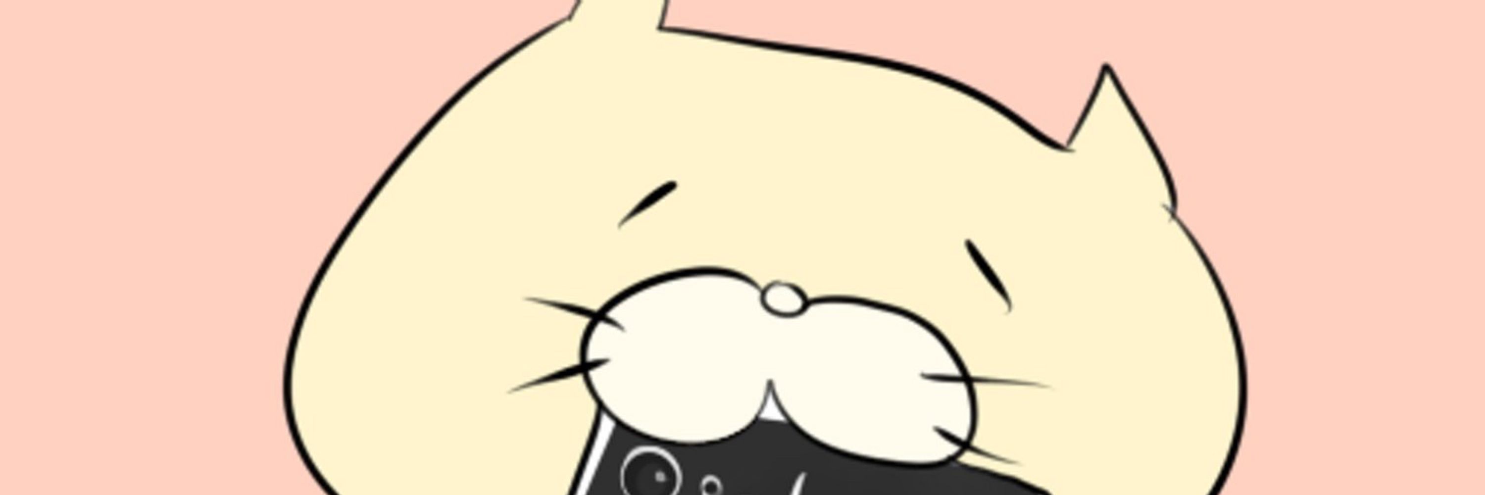 説猫