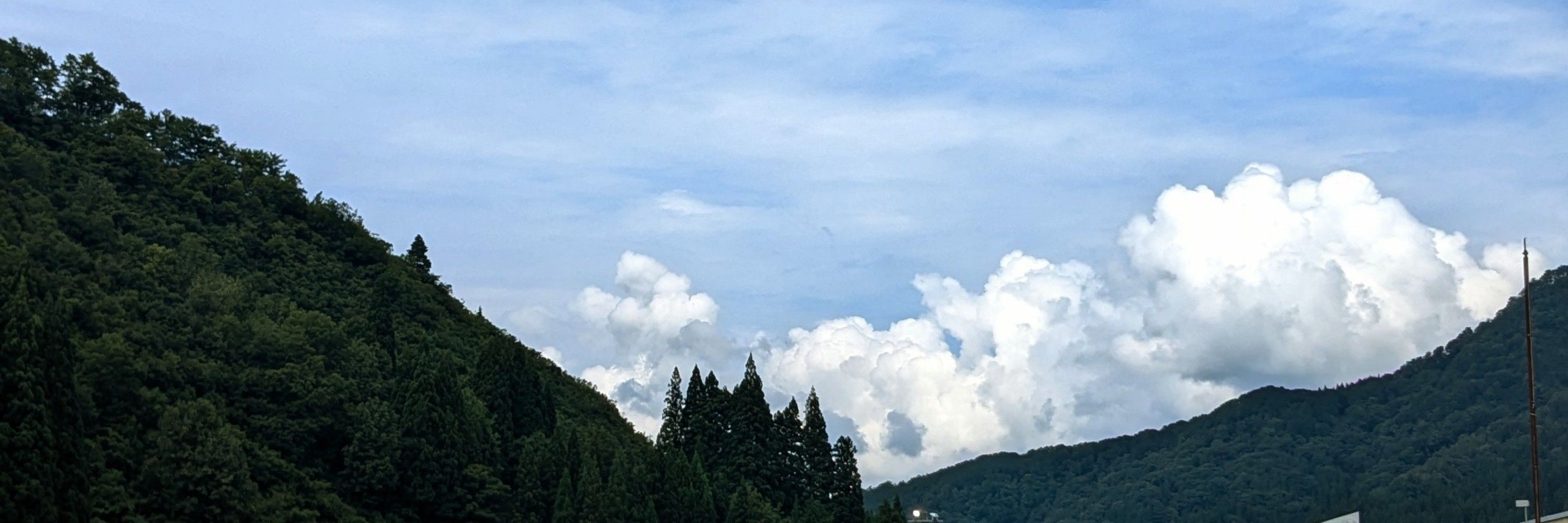 うづきかい🍀