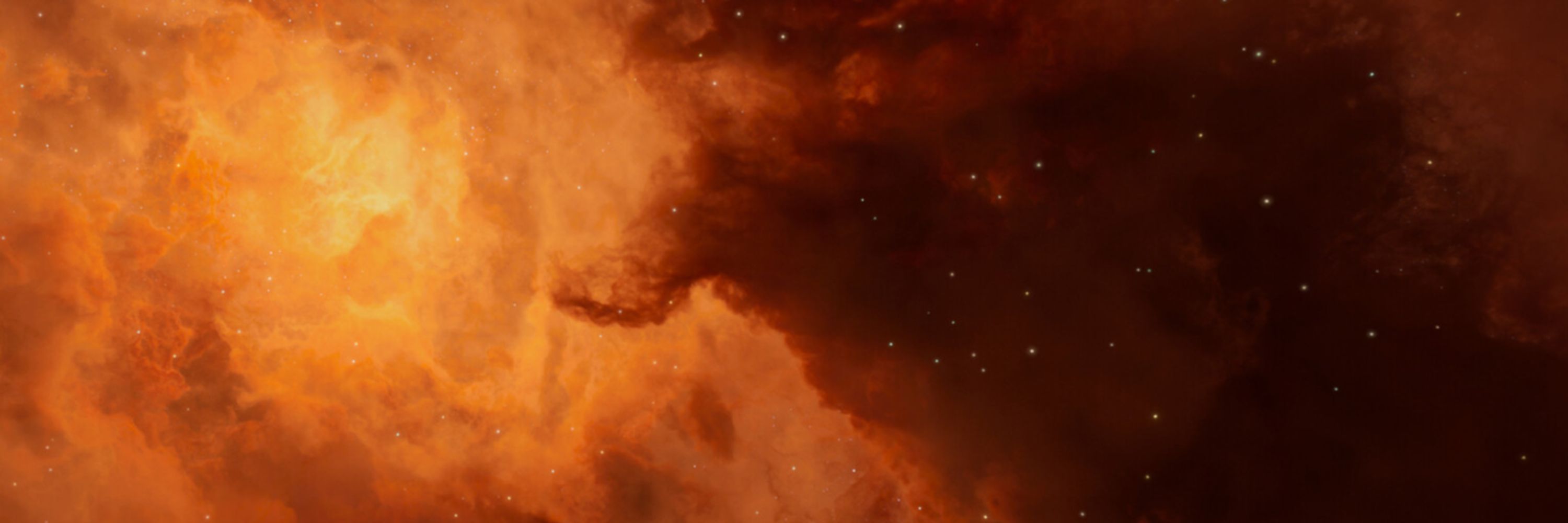 ⭐