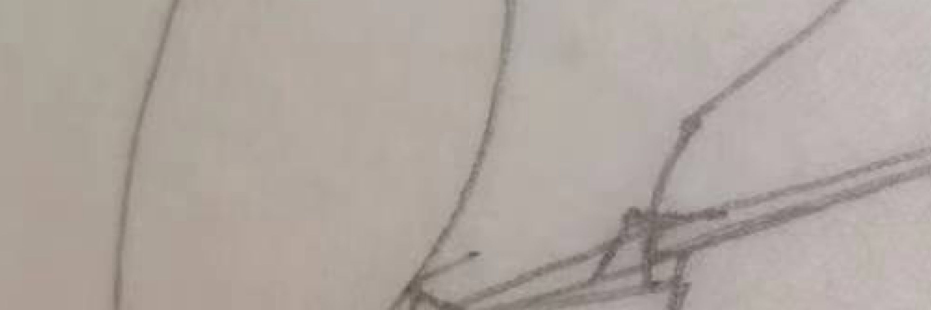 Tom Sawyou