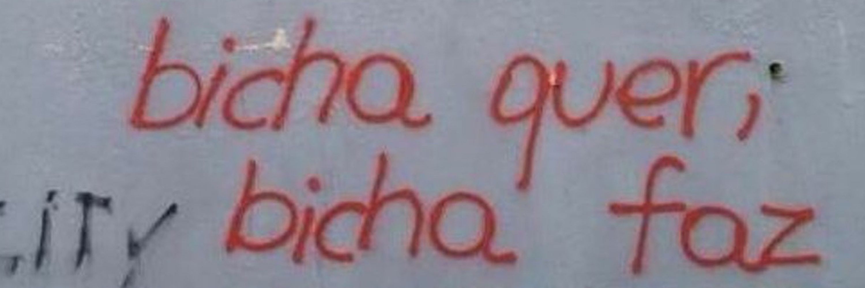 matheus caio