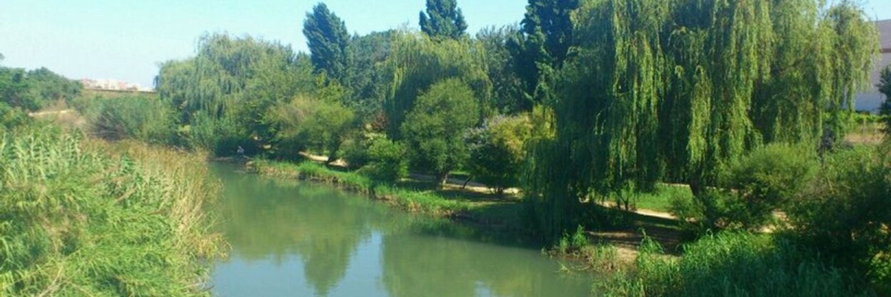 Marco FOL