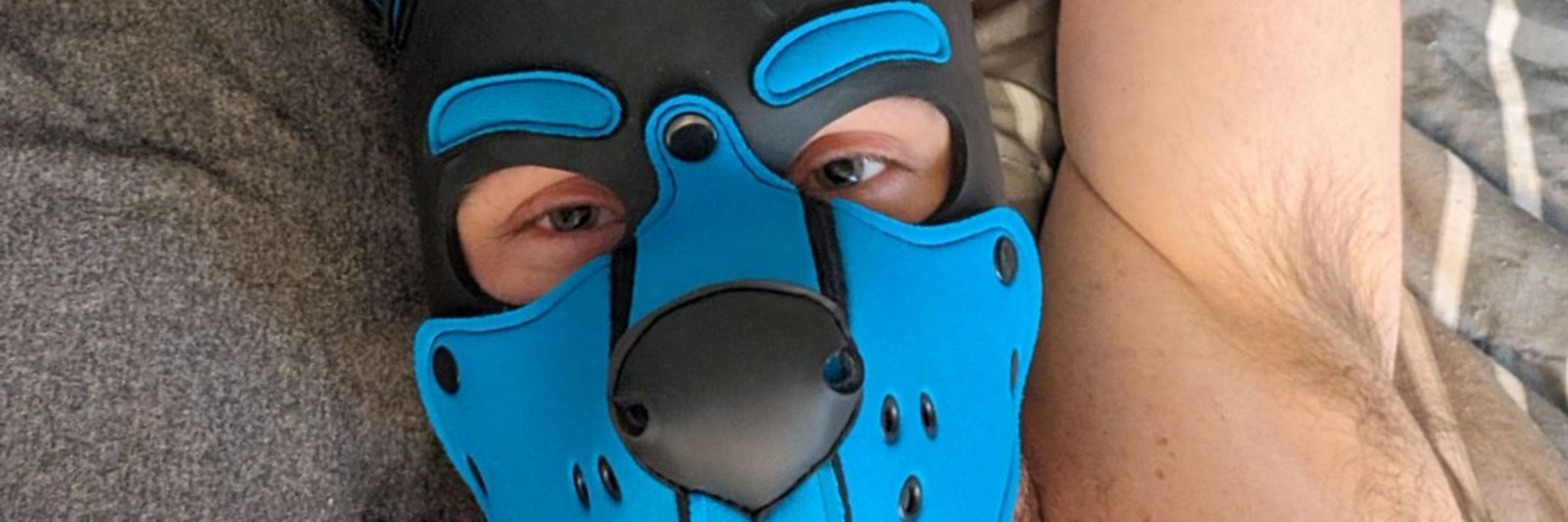 Pup Tek